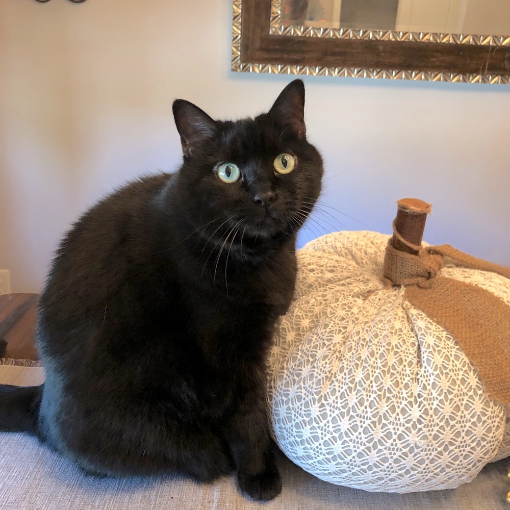 Meet your Posher, Anita